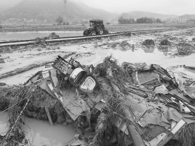 台风“尼伯特”将源凤家庭农场摧毁殆尽。