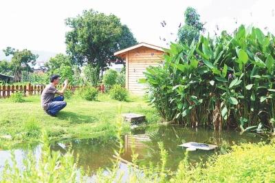 长泰计划投资超9亿元的“湿地”进村入城