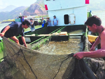 按此在新窗口浏览图片