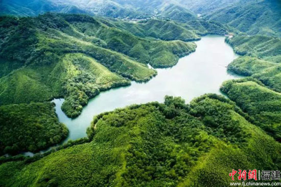 “到武平，我氧你哦！”的宣传词让人印象深刻。武平生态环境质量居全省第二位，全县森林覆盖率79.7%。武平新闻网 供图