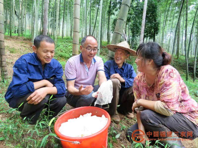 3、2018年11月，高级农艺师高允旺（左二）在顺昌县竹林现场讲授林下竹荪栽培技术.jpg