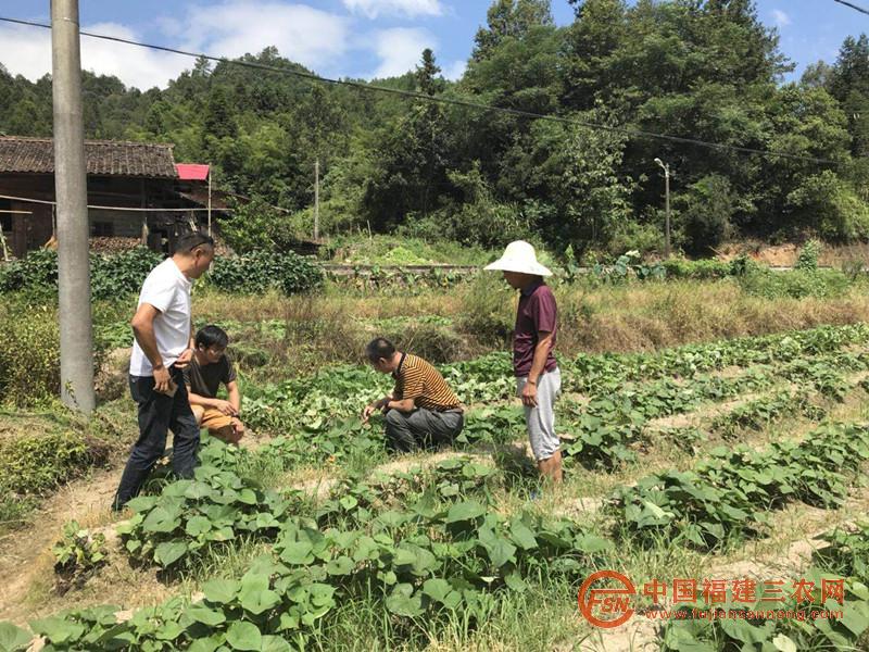 邀请县农业局到村指导旱种.jpg