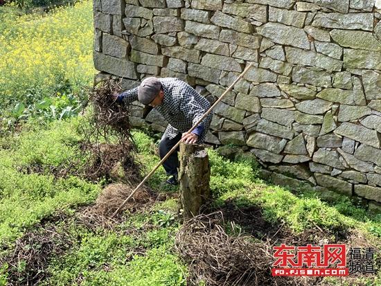 东张双溪：传统农业与生态文明的有机结合