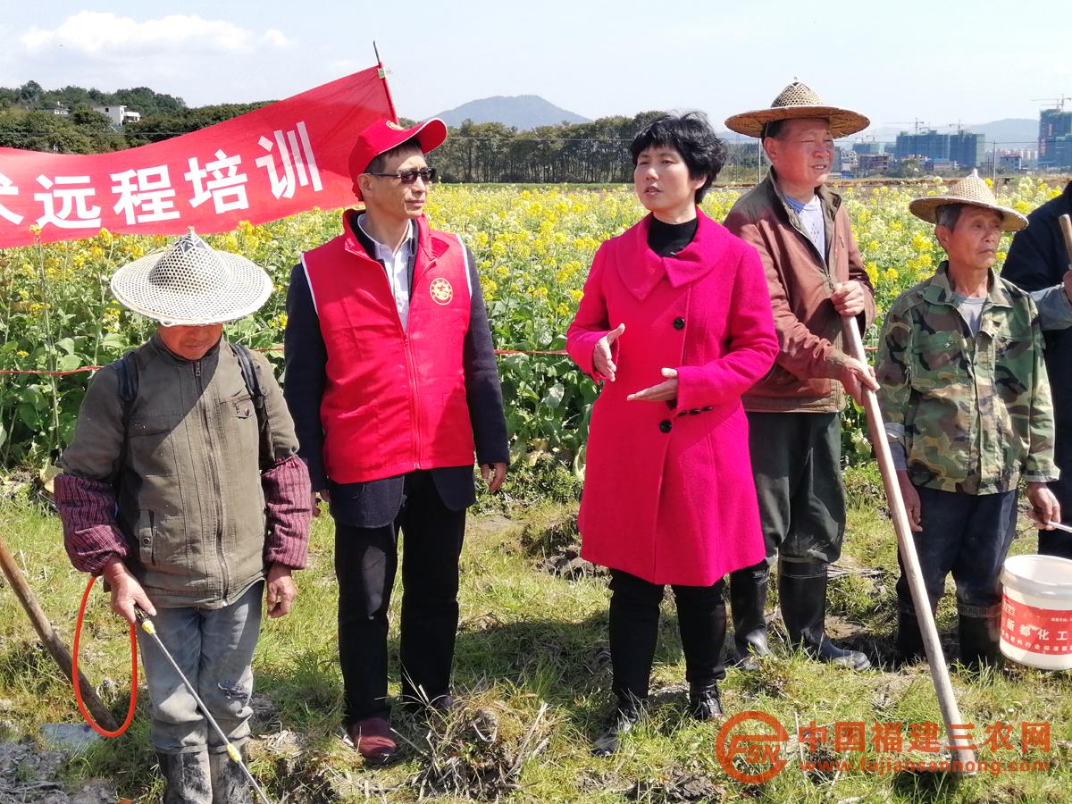 5、3月15日，浦城县教授级推广研究员郑莉在观光园讲授彩绘油菜定位种植技术.jpg