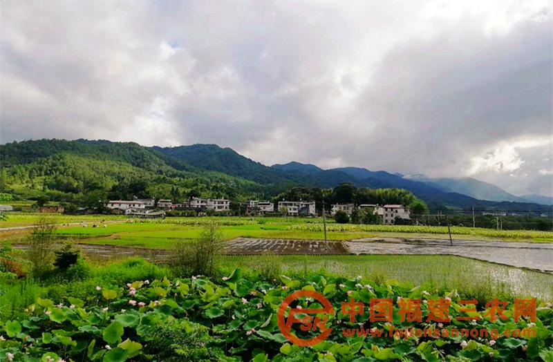 伍家坊村村内组远景，美丽乡村等您来.jpg