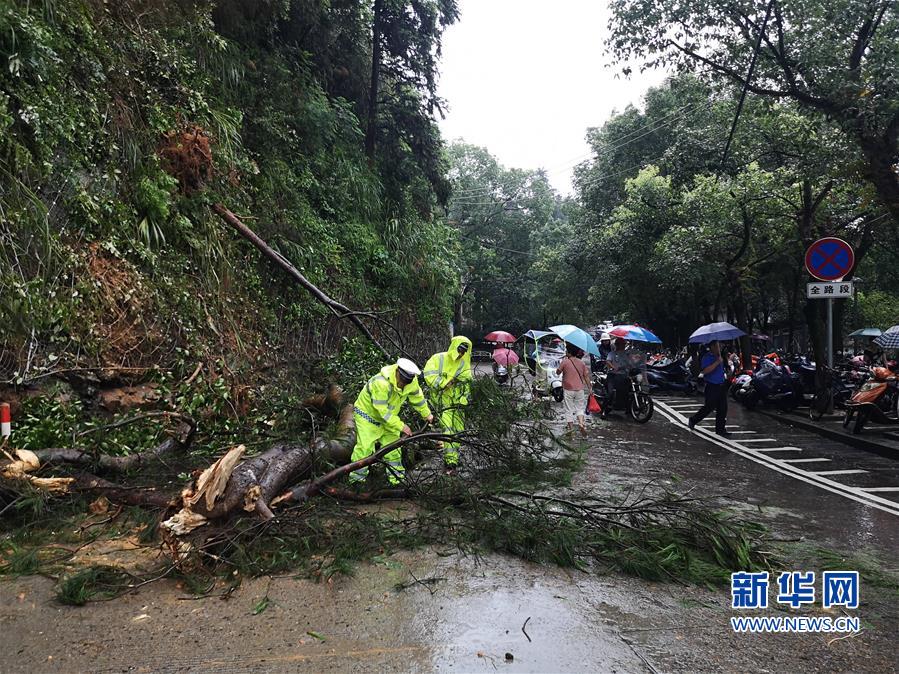 #（社会）（2）福建武夷山遭受暴雨袭击