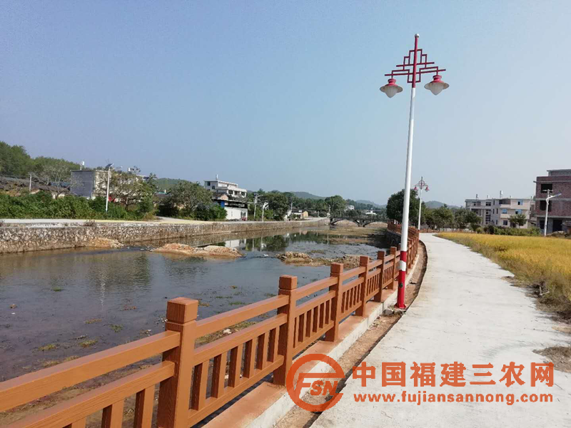 河道护栏建设.png