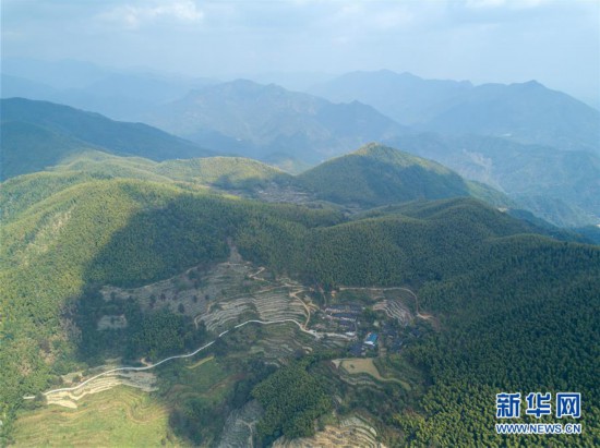 （社会）（1）保护无名丰碑——福建武夷山张山头红军墓群