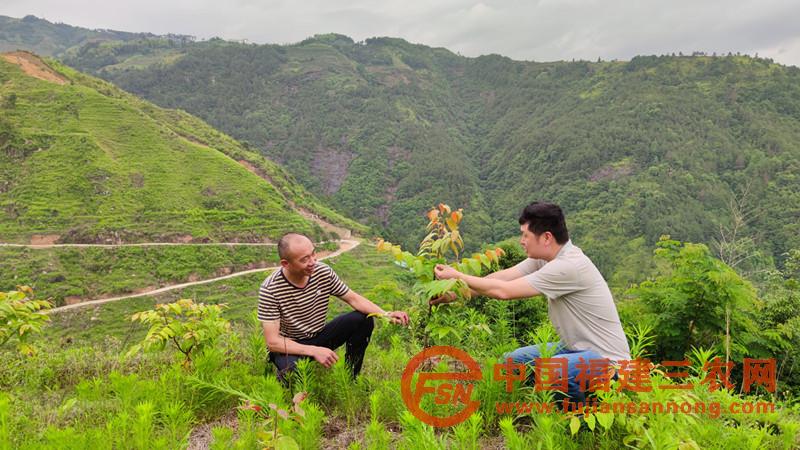 王大飞（右）为村民讲解钩藤种植技术.jpg