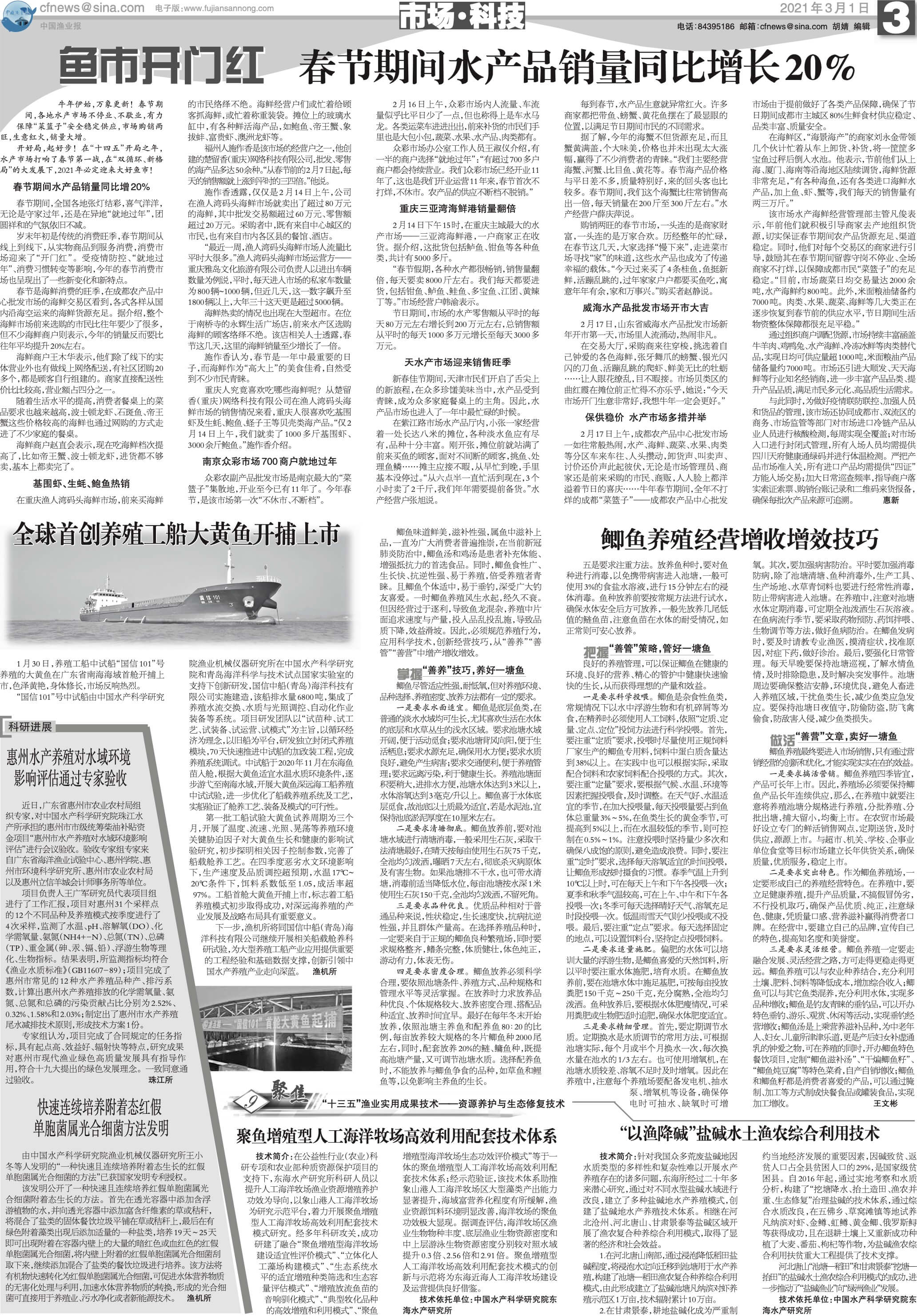 3.1yy31_Print.jpg