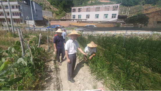 新闻稿（农林大学子助力乡村振兴在行动：微农经济助发展，乡村振兴添动力）400.png