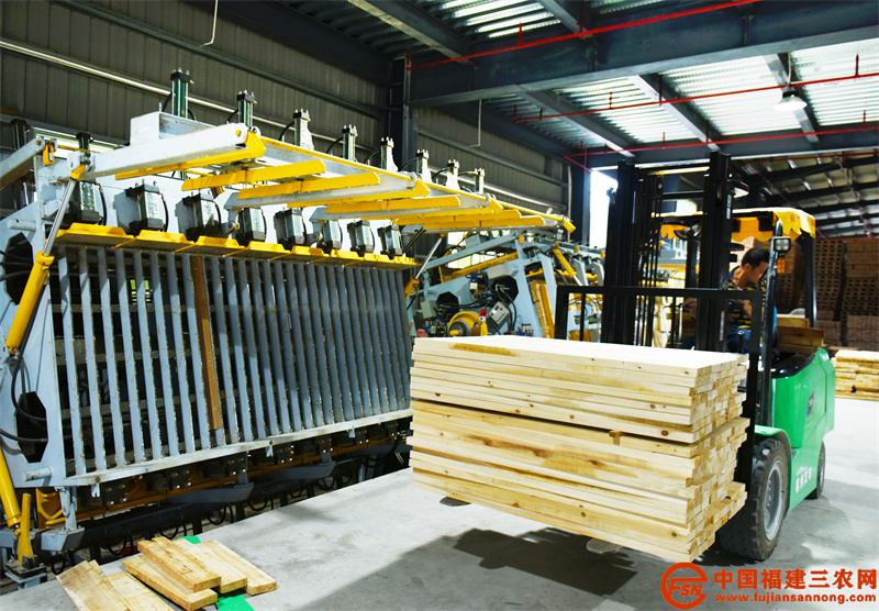 日前，在顺昌县升升木业有限公司增资扩产项目新建厂房车间，工人在生产线上忙碌着。 (1).jpg
