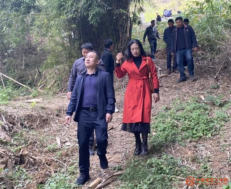 参观“龙岩雨霁”项目和中山河湿地公园巡护步道项目2.jpg