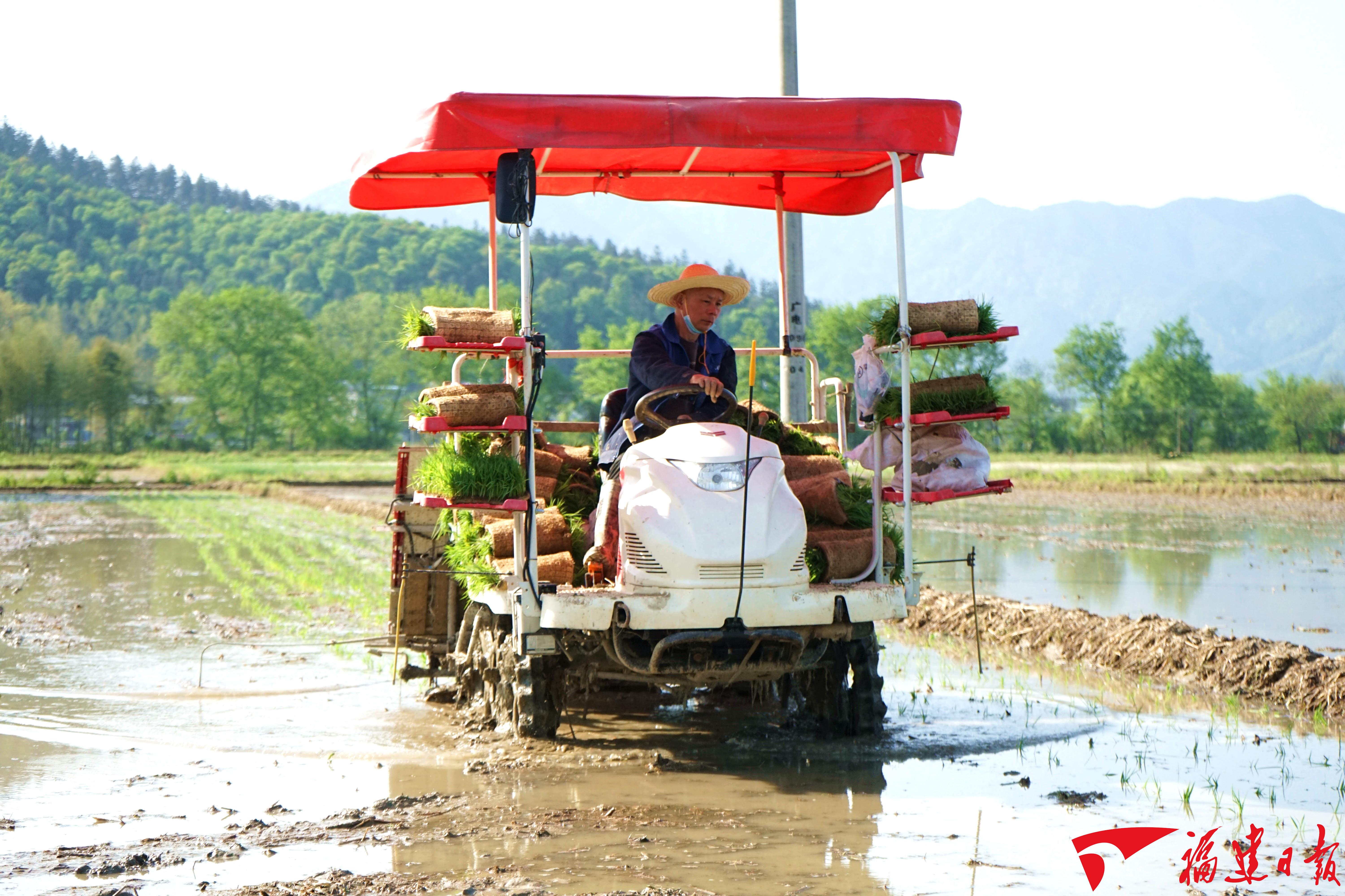 浦城：机械化种植 为春耕按下“快进键”