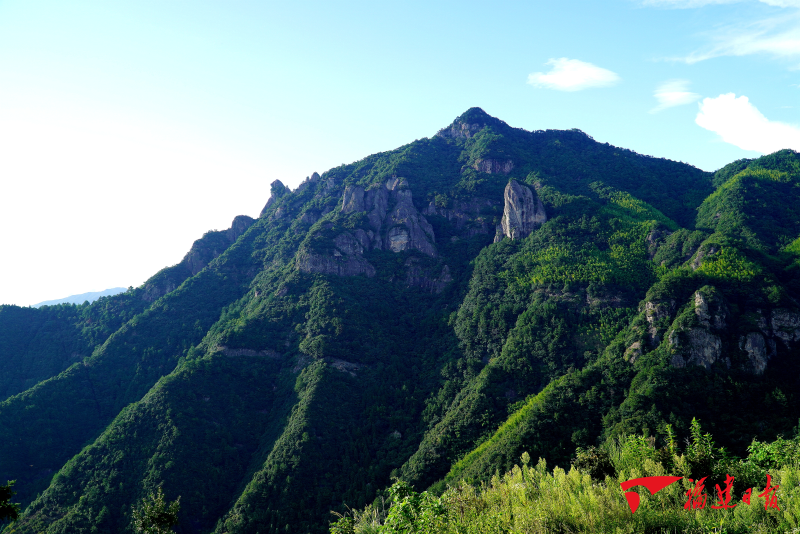 政和：“林长+三长”守护绿水青山