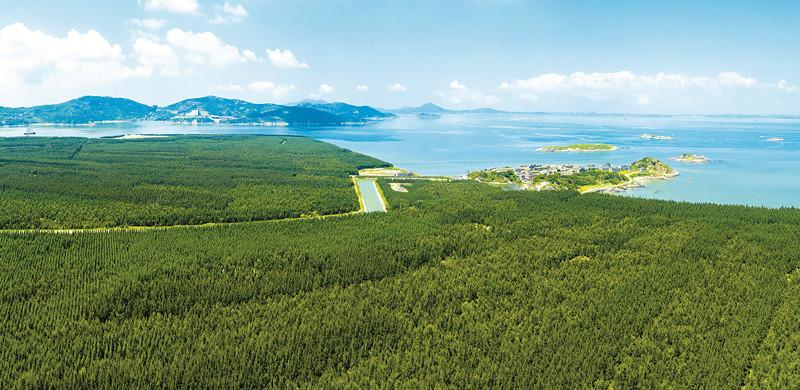 6年建设海防林75万亩 福建打造全国最美海岸线