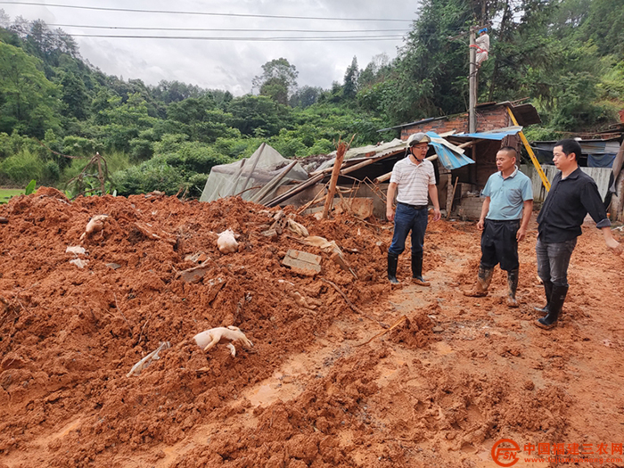 3 指导养殖户及时对压死的病死猪进行无害化处理，加强疫病防控.jpg