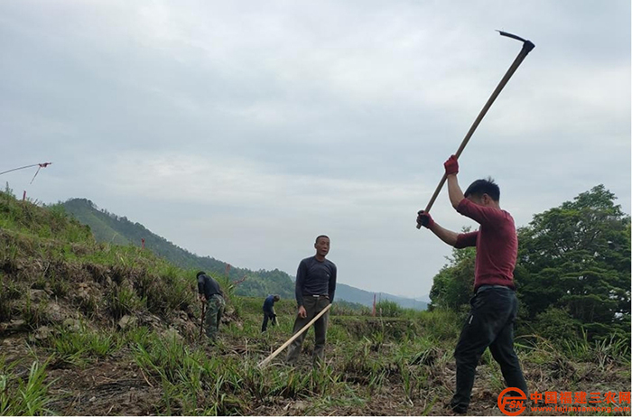 2 前宅村抛荒地复垦现场.jpg