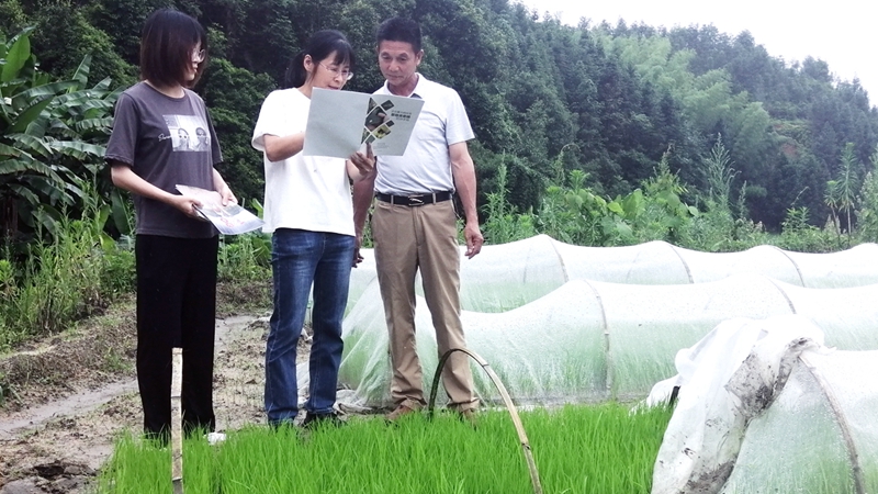 1、6月8日，福建省农业科学院专家到光泽县官屯村复耕抛荒秧田指导防洪减灾.jpg