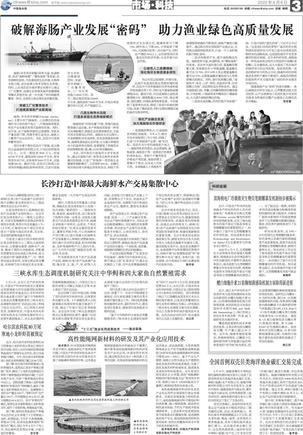 0606yy31.jpg