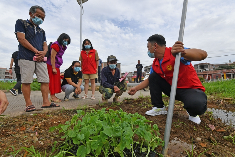 3 爱心企业志愿者在为群众示范讲解西瓜栽培技术。.jpg