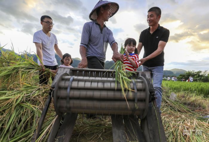 福建福清：稻香文化节趣享农耕体验