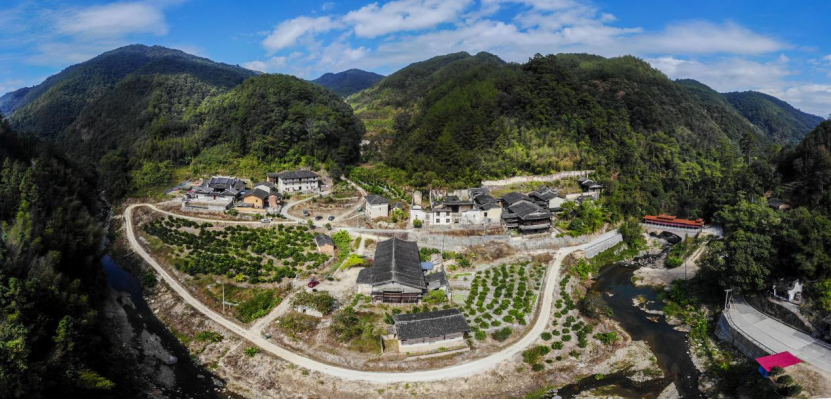 闽清梅洋村：党员带富小山村 群众致富有出路