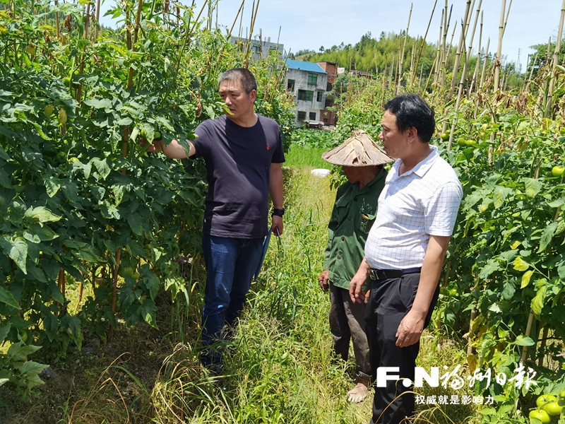 福州市2941名市级科技特派员下沉一线