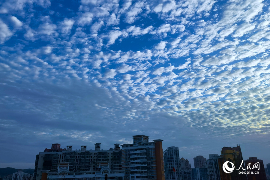 1.厦门上空的“鱼鳞云”景观。人民网 陈博摄