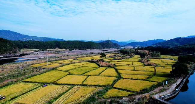 光泽县崇仁乡2022年撂荒地复耕复垦种粮项目现场验收