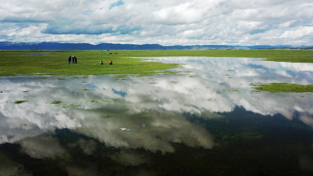 游客在甘肃省甘南藏族自治州玛曲县河曲马场的湿地游览（2019年6月22日摄，无人机照片）。