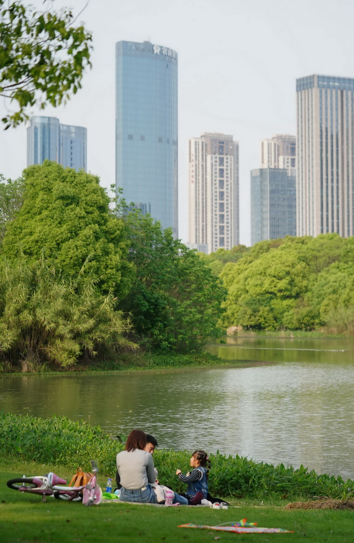 市民在南昌市艾溪湖湿地公园的草地上休憩（2020年4月6日摄）。新华社记者 周密 摄