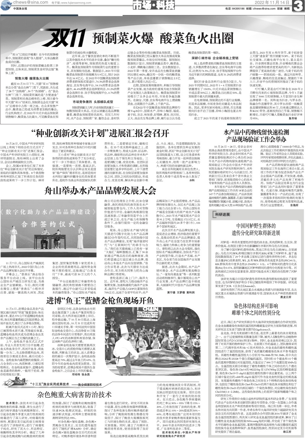 1114yy31_Print.jpg