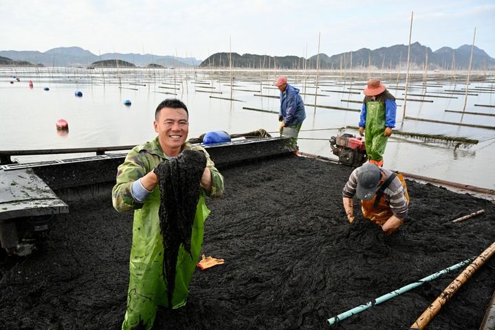 鱼丰景美海常蓝——福建“耕海牧渔”新气象