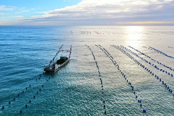 鱼丰景美海常蓝——福建“耕海牧渔”新气象