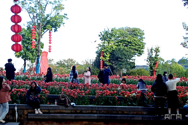 福州公园鲜花盛放 游客纷至沓来