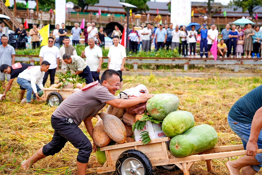 在三明市建宁县溪口镇枫元村的农事趣味运动会上，村民们正欢乐地“拼运力”。饶丽英摄