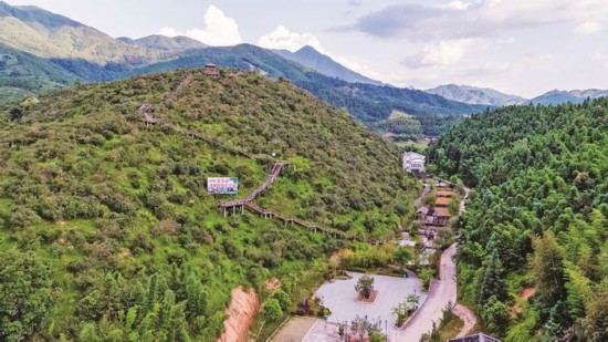 下村油茶科技示范园