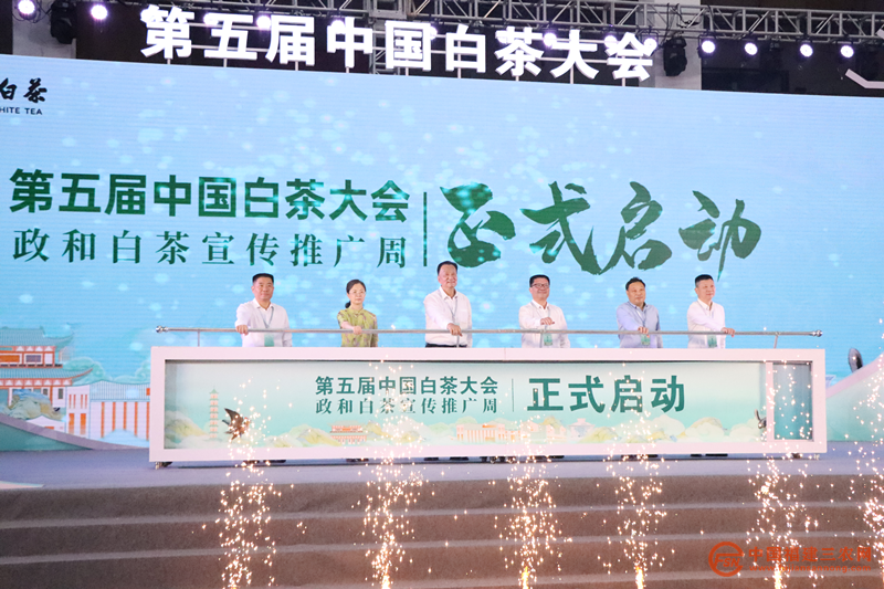 图片19.png