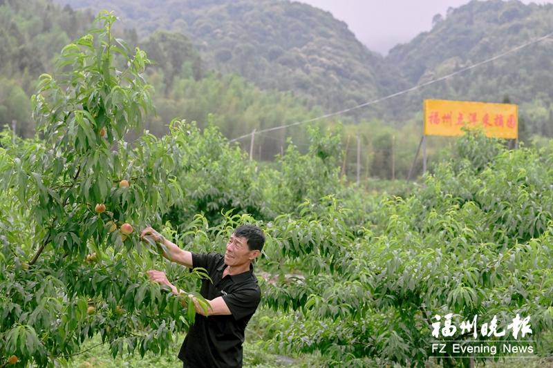 晋安点洋村：文明新风吹 共富闯新路