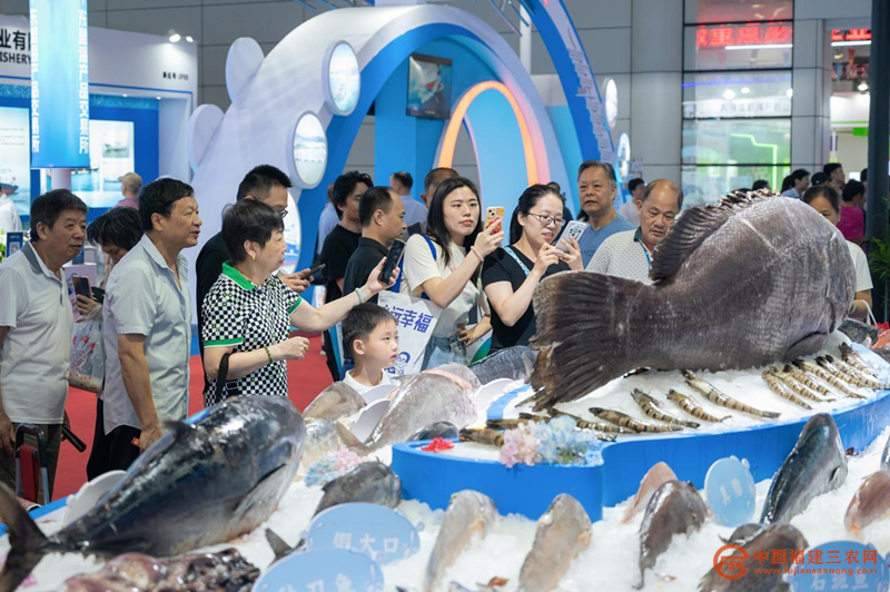 图片15.png