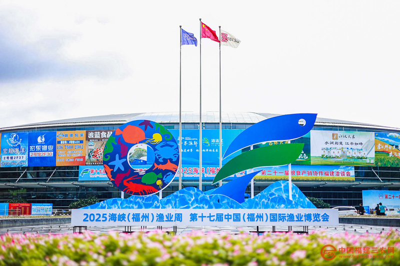 图片13.png