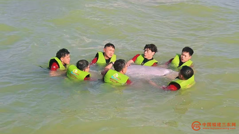 图片19.png