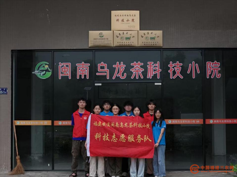 图片11.png