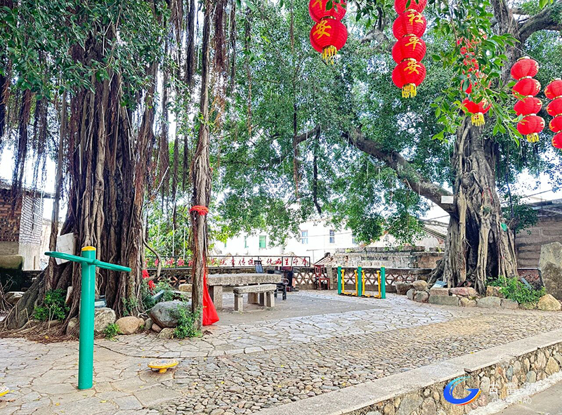 微信图片_2026-05-02_175200_899.jpg