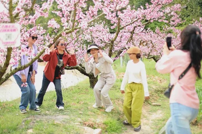 游客在桃林赏花拍照打卡。蒋炜煌摄
